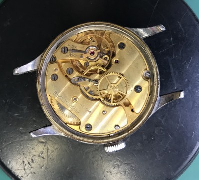 1EB3BA2B-0209-401B-8F31-192DB652516E.jpeg (1.03 MiB) Viewed 29209 times 1EB3BA2B-0209-401B-8F31-192DB652516E.jpeg